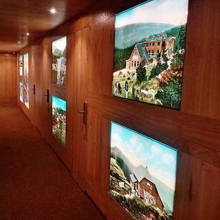 Resident Resort Harrachov & Grotta Spa ภายนอก รูปภาพ